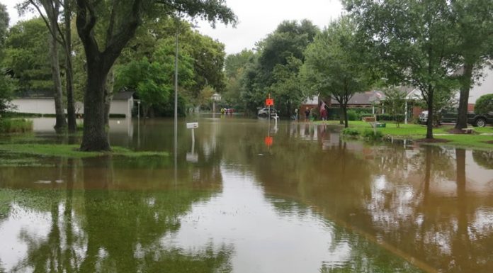 A Destruição de um Furacão
