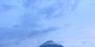 Valter Aleixo. Pura Poesia .