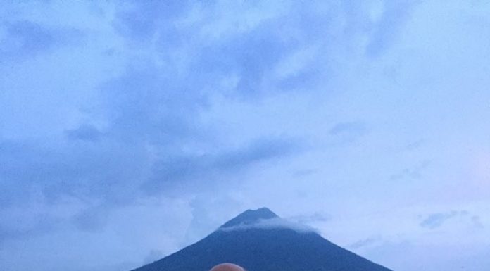 Valter Aleixo. Pura Poesia .