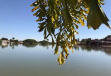 VIP – Valter Aleixo apresenta suas belíssimas poesias.