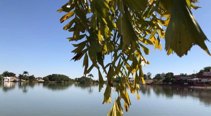 VIP – Valter Aleixo apresenta suas belíssimas poesias.