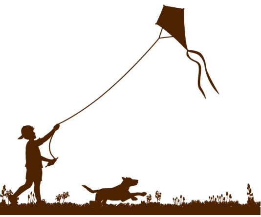 O excelente Valter Aleixo – Crônica – As Pipas