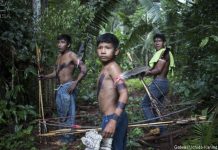 News – Pressões e ameaças, da Panamazônia ao Xingu!