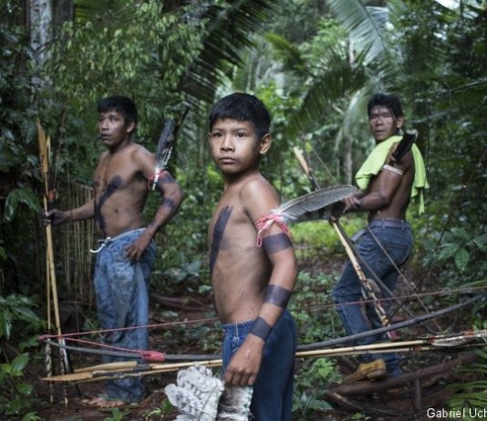 News – Pressões e ameaças, da Panamazônia ao Xingu!