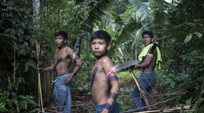 News – Pressões e ameaças, da Panamazônia ao Xingu!