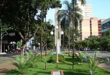 Crônica – A Viagem