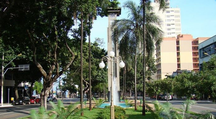 Crônica – A Viagem