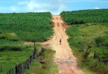 Poesia – Meu Caminho