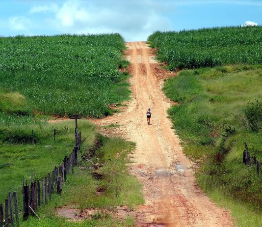 Poesia – Meu Caminho