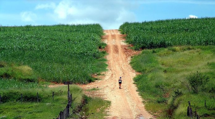 Poesia – Meu Caminho