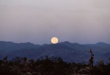 Poesia – Negra Eternidade