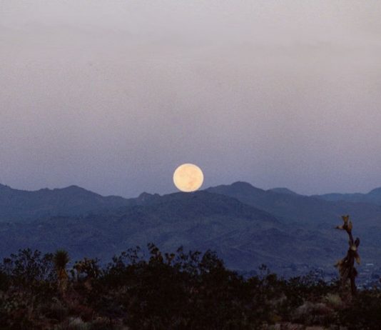 Poesia – Negra Eternidade