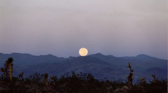 Poesia – Negra Eternidade