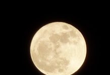 Poesia – A Canção do Silêncio.