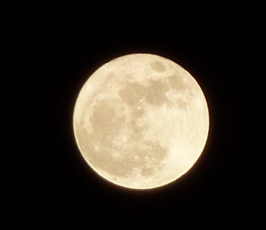 Poesia – A Canção do Silêncio.