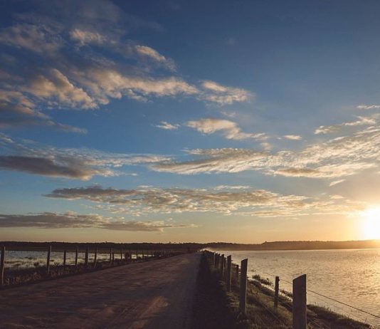 POESIA – TUDO VIRA POESIA.