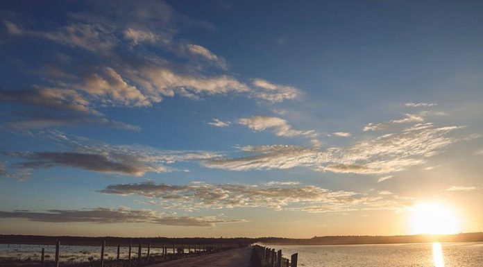 POESIA – TUDO VIRA POESIA.