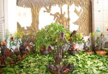 Crônica – Oferendas nas religiões afro-brasileiras.