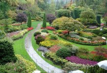 Luiza Lima, nossa escritora infantil – A Princesa e o Jardim Encantado.