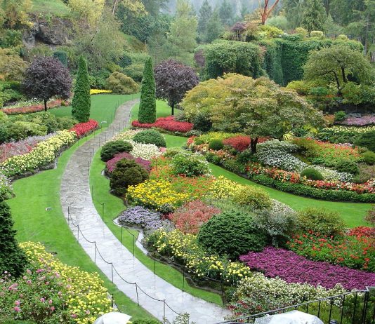 Luiza Lima, nossa escritora infantil – A Princesa e o Jardim Encantado.