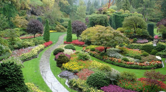 Luiza Lima, nossa escritora infantil – A Princesa e o Jardim Encantado.