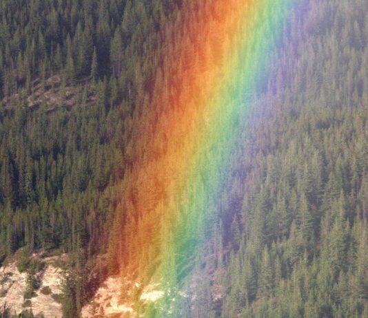 Poesia – Cor da Inspiração.