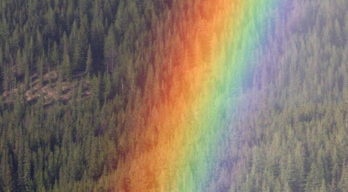 Poesia – Cor da Inspiração.