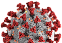 NEWS – CONSEQUENCES OF COVID-19 IN TEXAS ECONOMY.