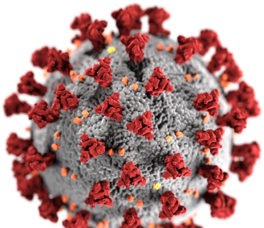 NEWS – CONSEQUENCES OF COVID-19 IN TEXAS ECONOMY.