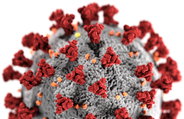 NEWS – CONSEQUENCES OF COVID-19 IN TEXAS ECONOMY.