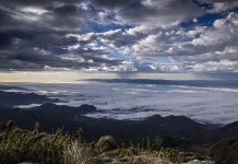 Poesia – Pensamentos.