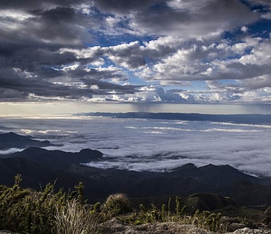 Poesia – Pensamentos.