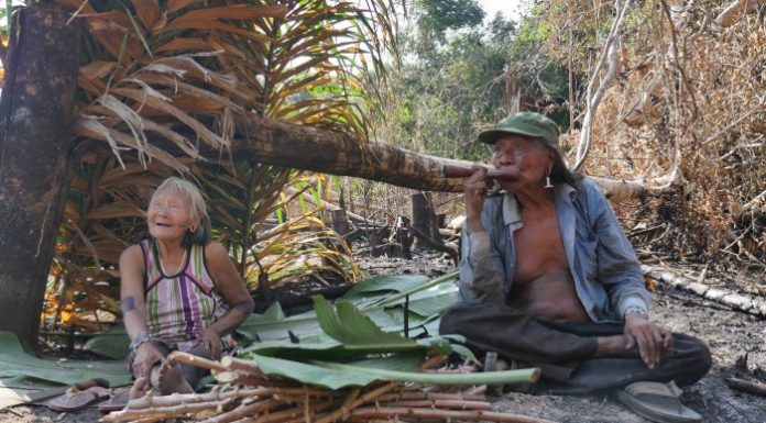 News – Xingu se une para combater Covid-19.