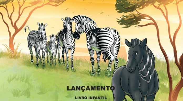 A ZEBRA ZU – LIVRO INFANTIL – COMPRE HOJE MESMO E SE ENCANTE COM A DIVERSIDADE DA GENIAL ZU.