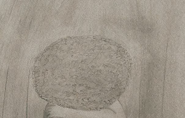 Poesia – Uma Carta para a dor.