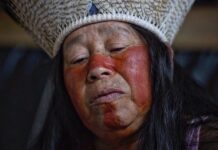 Crônica – Aos Povos Originários o que lhes é de direito! – Gah Té Kaingang entra em greve de fome pelo direito às terras da sua família.