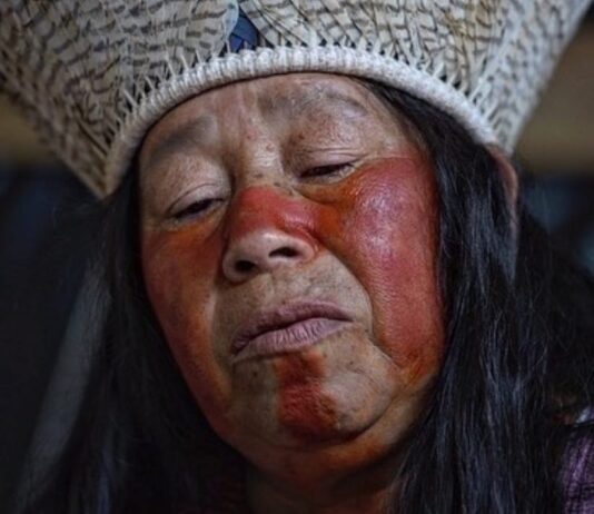 Crônica – Aos Povos Originários o que lhes é de direito! – Gah Té Kaingang entra em greve de fome pelo direito às terras da sua família.