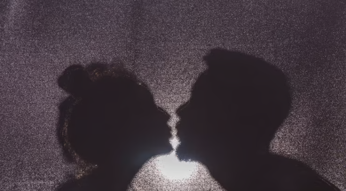 Crônica – Selinho.