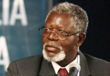 Crônica – Um salve ao intelectual Prof. Dr. Kabengele Munanga.