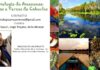 VERSOS E PROSAS DE CABOCLOS AMAZONAS E CEARÁ-FORTALECENDO LAÇOS