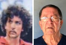 Alvanir nos profissionais, excelente representante da base de luxo do América do Rio, campeão carioca infanto juvenil em 1969.