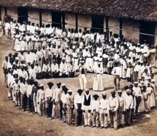 CRÔNICA – NÓS, SOMOS O SONHO DOS NOSSOS ANCESTRAIS.