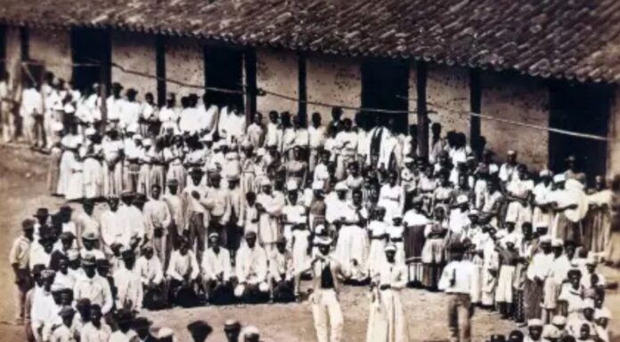 CRÔNICA – NÓS, SOMOS O SONHO DOS NOSSOS ANCESTRAIS.